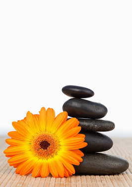 An orange sunflower and a black stones stack